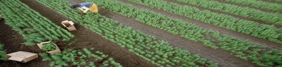 Agribusiness Production and Financial Management Program